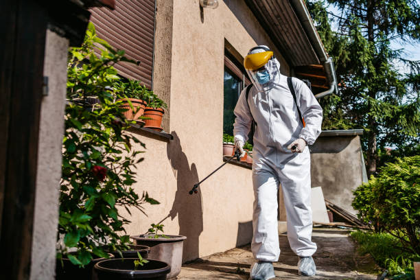 Best Affordable Pest Control Services  in Grand Prairie, TX