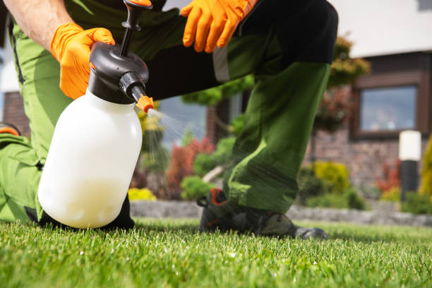 Pest Prevention Services in Grand Prairie, TX