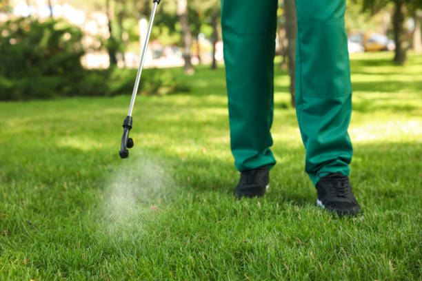Best Pest Inspection Near Me  in Grand Prairie, TX