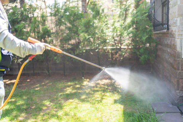 Best Flea Control Services  in Grand Prairie, TX
