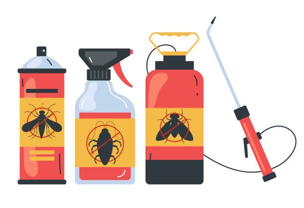 Flea Control Services in Grand Prairie, TX