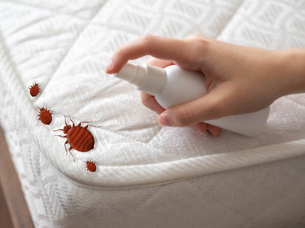 Best Emergency Pest Control  in Grand Prairie, TX