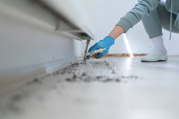 Best Pest Prevention Services  in Grand Prairie, TX