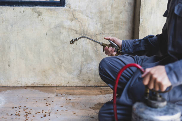 Best Pest Control for Businesses  in Grand Prairie, TX