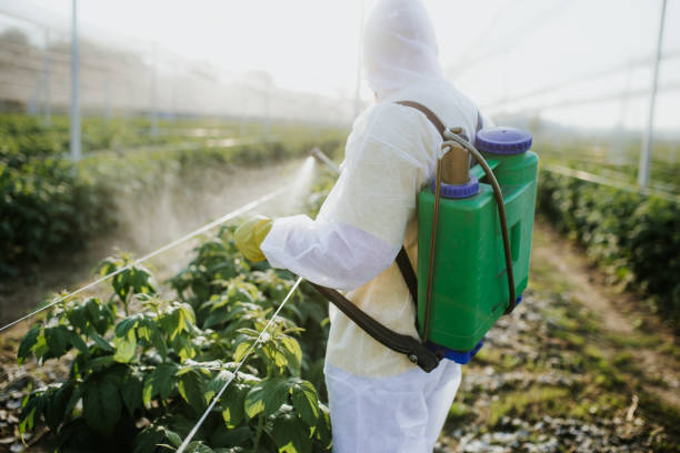 Best Best Pest Control Companies  in Grand Prairie, TX